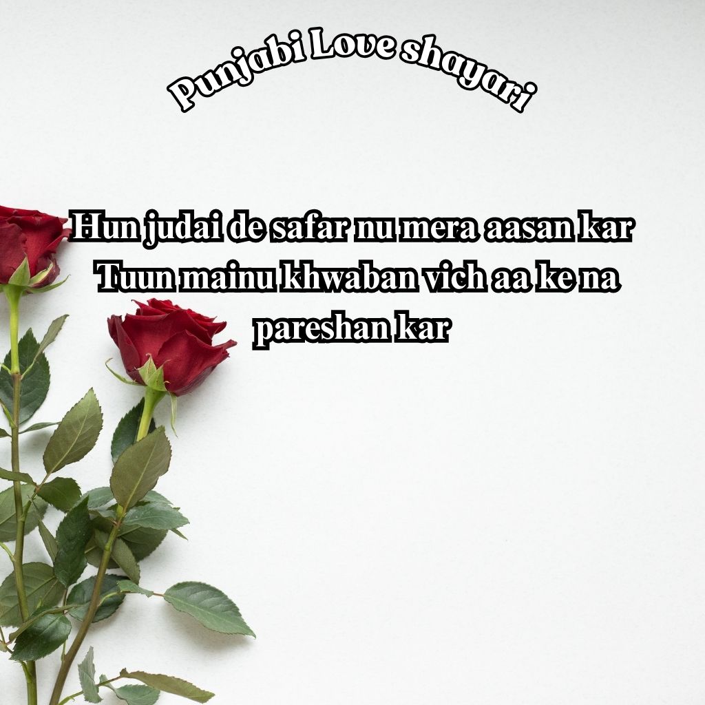 punjabi love shayari in English​

