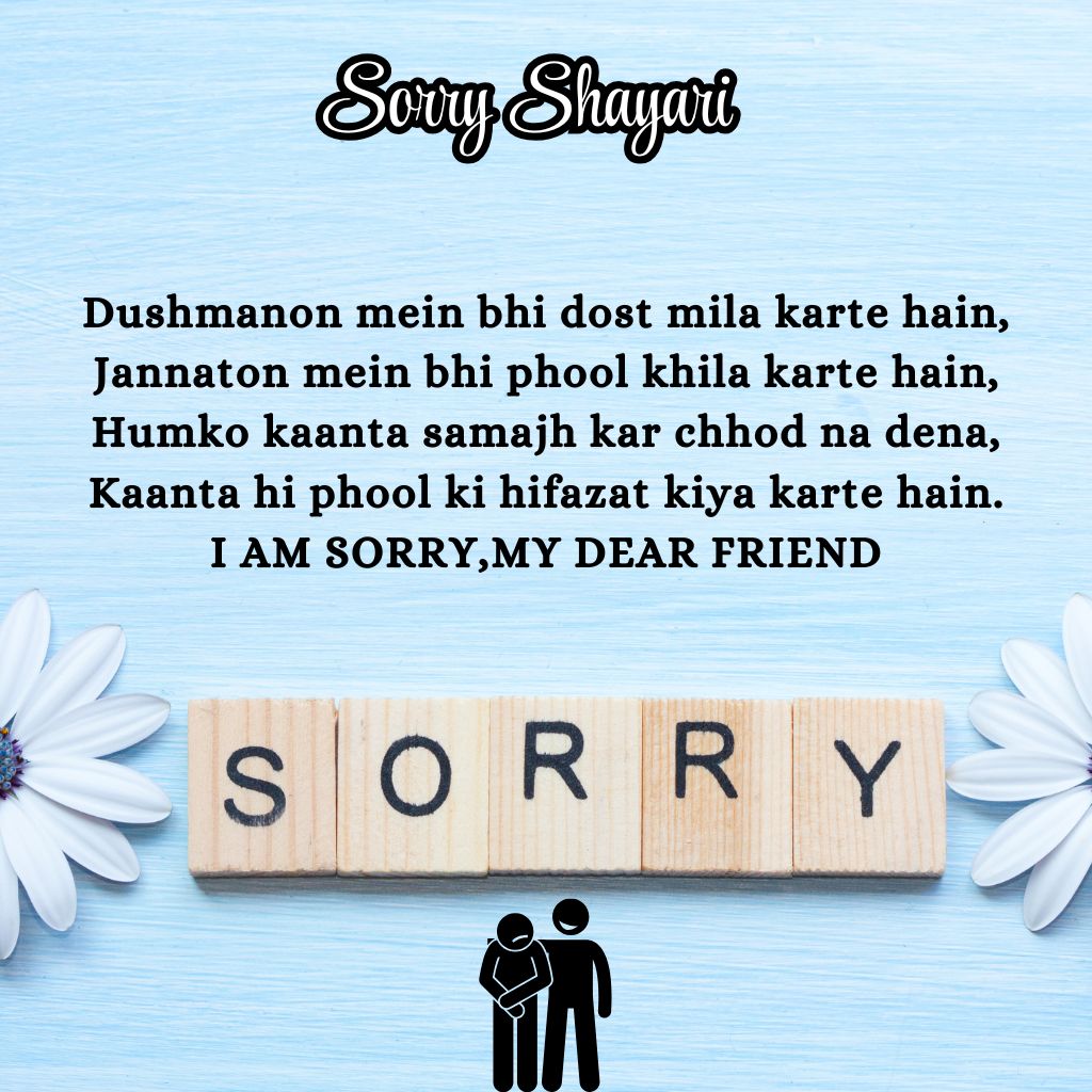 sorry shayari for friends
