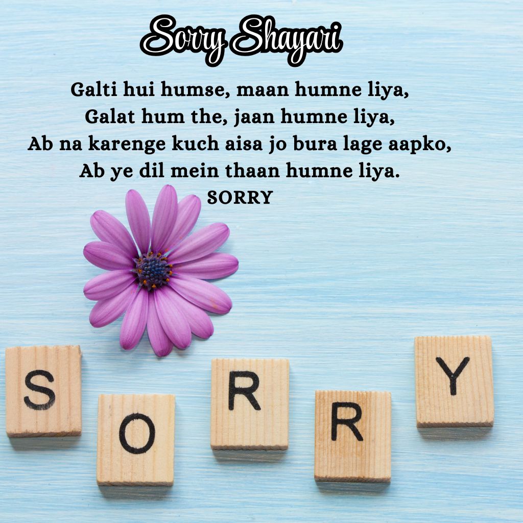 sorry shayari in English