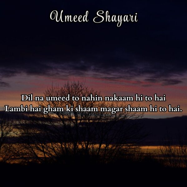 Umeed Shayari in English